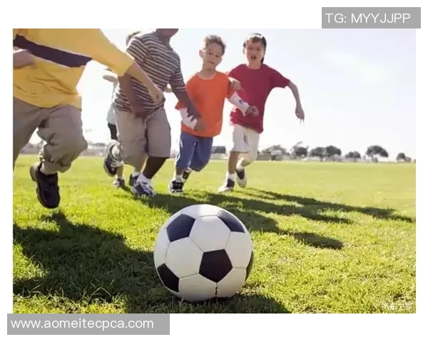 坐车上的足球明星与球迷互动的温馨瞬间与精彩故事