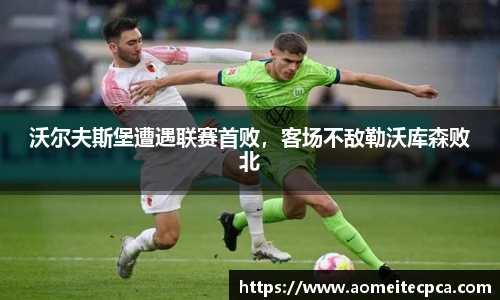 NG体育官方网站