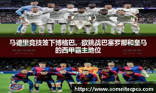 NG体育官方网站