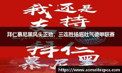 NG体育
