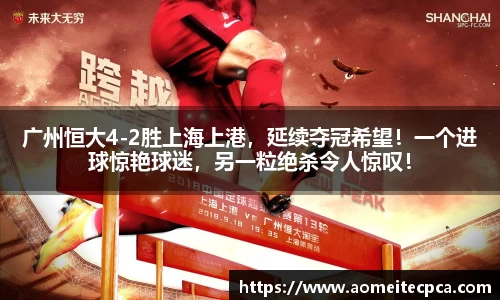 NG体育官方网站