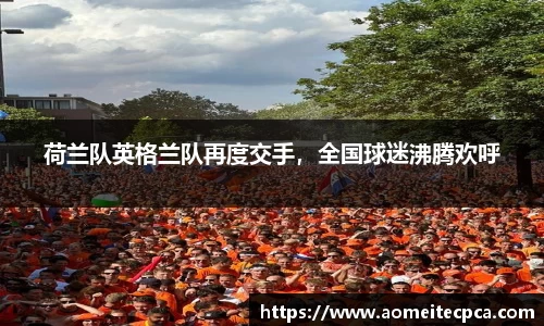NG体育官方网站