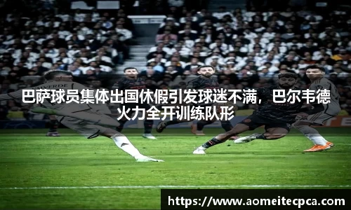 NG体育官网