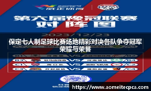 保定七人制足球比赛场地精彩对决各队争夺冠军荣耀与荣誉