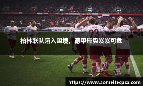 NG体育官方网站