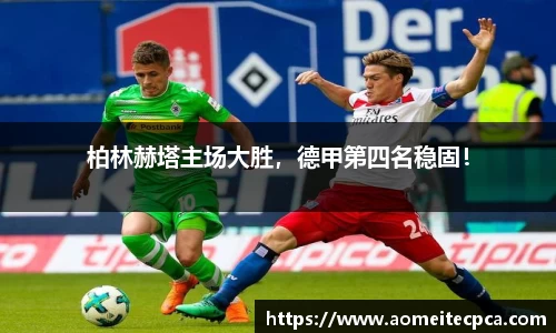 NG体育官方网站