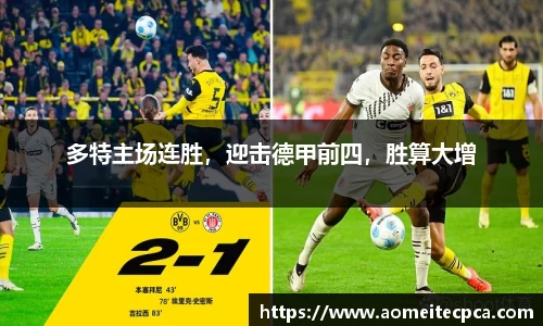 NG体育官网