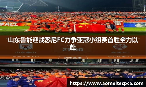 NG体育官方网站