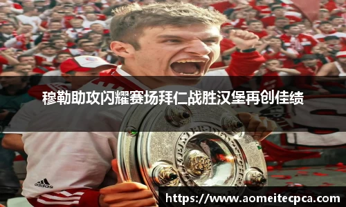 NG体育官网