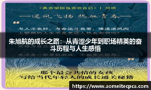 NG体育官网