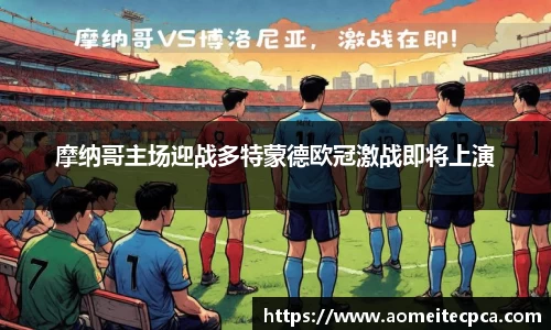 NG体育官方网站