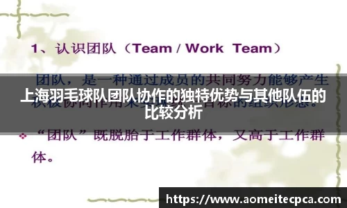 上海羽毛球队团队协作的独特优势与其他队伍的比较分析