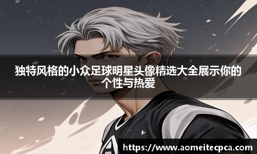 NG体育官方网站