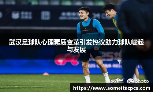 NG体育官方网站