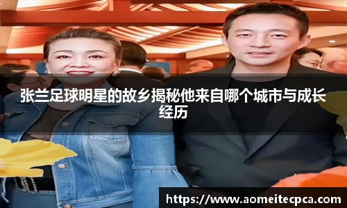 NG体育官方网站