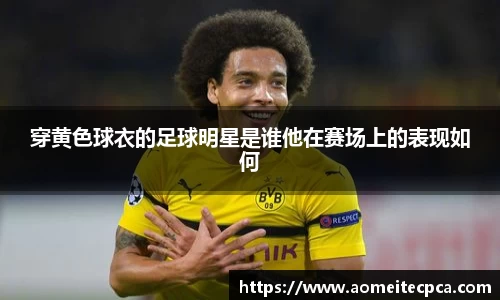 NG体育官方网站